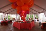 Fairytent-011
